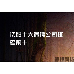 沈阳十大保镖公司排名前十