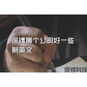 保镖哪个公司好一些啊英文