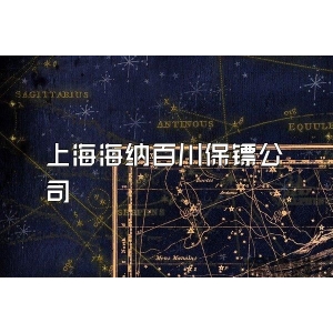 上海海纳百川保镖公司