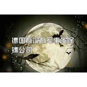 德国有没有军事家保镖公司