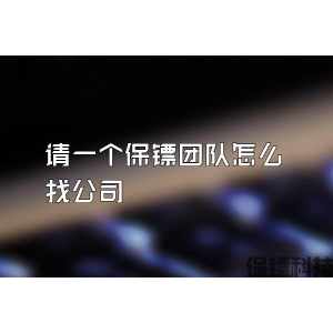 请一个保镖团队怎么找公司