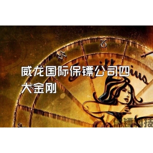 威龙国际保镖公司四大金刚
