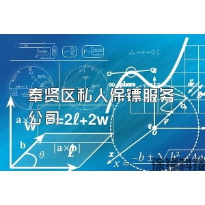 奉贤区私人保镖服务公司