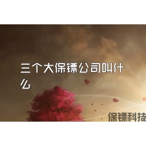 三个大保镖公司叫什么
