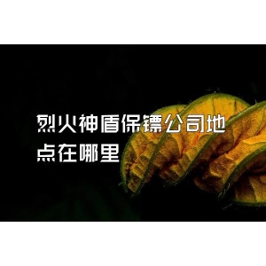 烈火神盾保镖公司地点在哪里