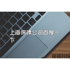 上海保镖公司百度一下