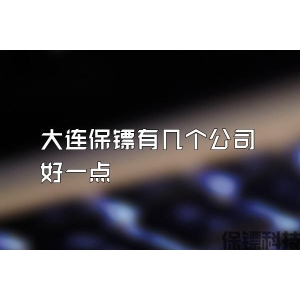 大连保镖有几个公司好一点