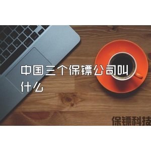 中国三个保镖公司叫什么