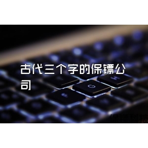 古代三个字的保镖公司
