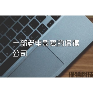一部老电影爱的保镖公司