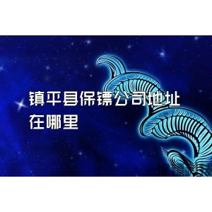 镇平县保镖公司地址在哪里