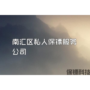 南汇区私人保镖服务公司