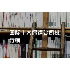 国际十大保镖公司排行榜