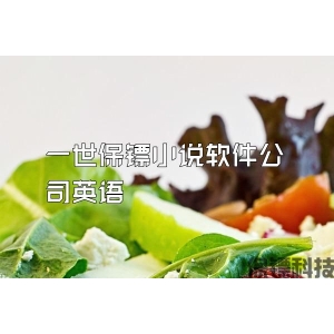 一世保镖小说软件公司英语