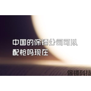 中国的保镖公司可以配枪吗现在