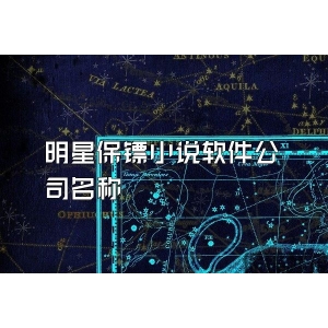 明星保镖小说软件公司名称