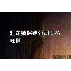 汇龙镇保镖公司怎么样啊