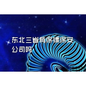 东北三省有保镖保安公司吗