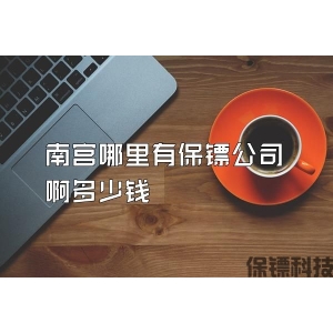 南宫哪里有保镖公司啊多少钱