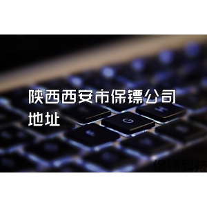 陕西西安市保镖公司地址