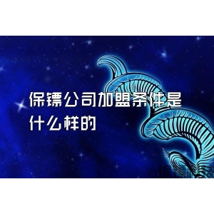 保镖公司加盟条件是什么样的