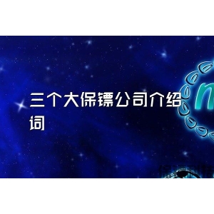 三个大保镖公司介绍词