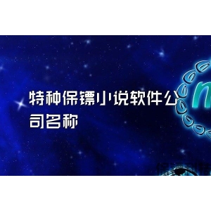 特种保镖小说软件公司名称