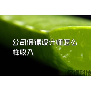 公司保镖设计师怎么样收入