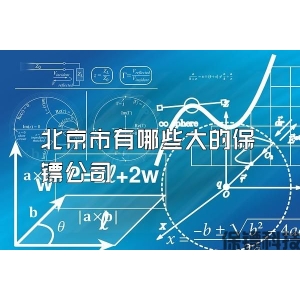 北京市有哪些大的保镖公司