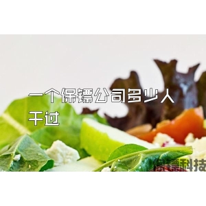 一个保镖公司多少人干过