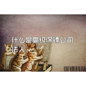 什么是高级保镖公司法人