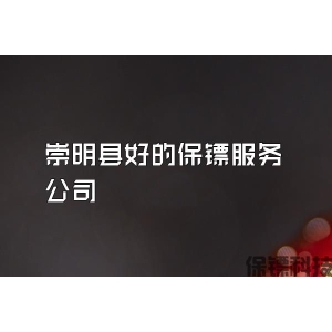崇明县好的保镖服务公司