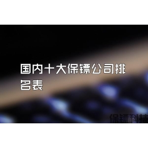 国内十大保镖公司排名表