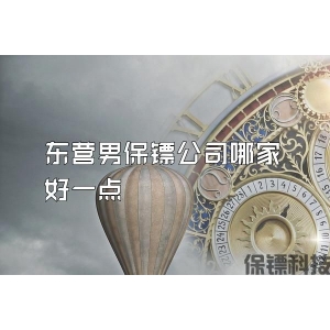 东营男保镖公司哪家好一点