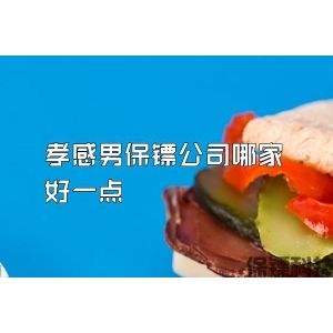 孝感男保镖公司哪家好一点