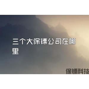 三个大保镖公司在哪里