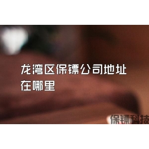 龙湾区保镖公司地址在哪里