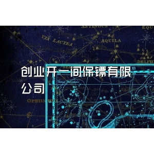 创业开一间保镖有限公司