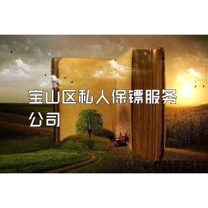 宝山区私人保镖服务公司
