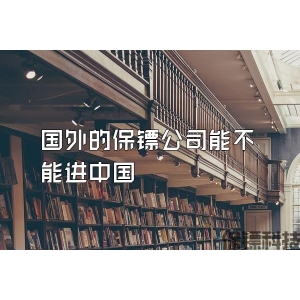国外的保镖公司能不能进中国
