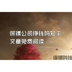保镖公司挣钱吗知乎文章免费阅读