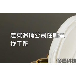 定安保镖公司在哪里找工作