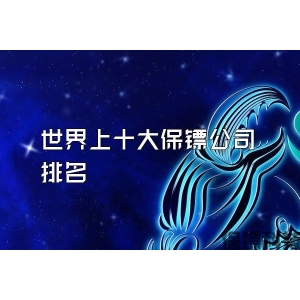 世界上十大保镖公司排名