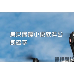 美女保镖小说软件公司名字