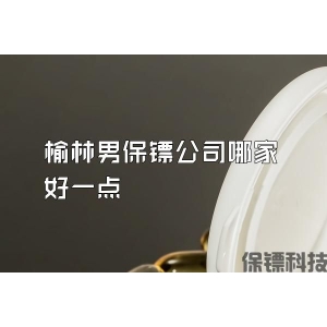 榆林男保镖公司哪家好一点