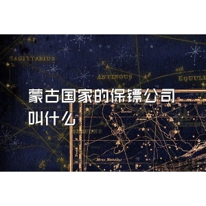 蒙古国家的保镖公司叫什么