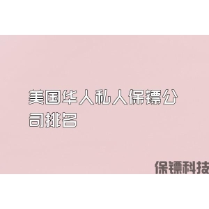 美国华人私人保镖公司排名