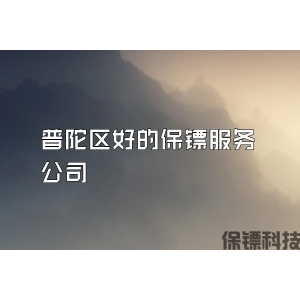 普陀区好的保镖服务公司
