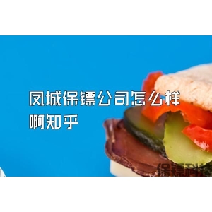 凤城保镖公司怎么样啊知乎