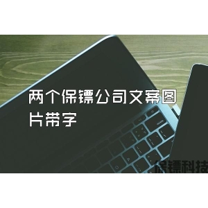 两个保镖公司文案图片带字